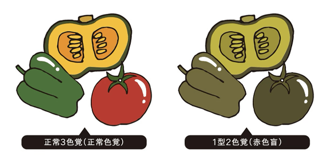 色覚異常のイメージ画像